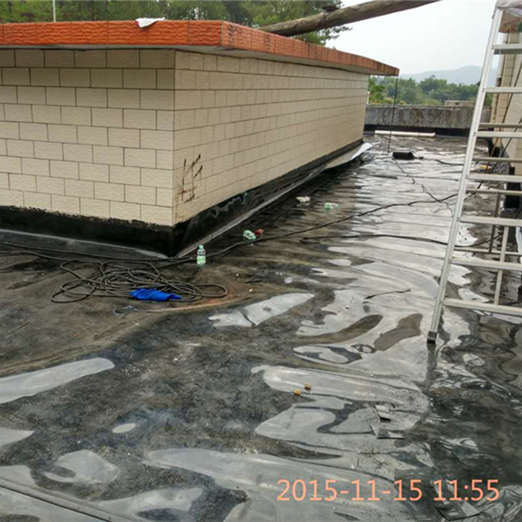 2015-11-25 104511 - 副本.jpg